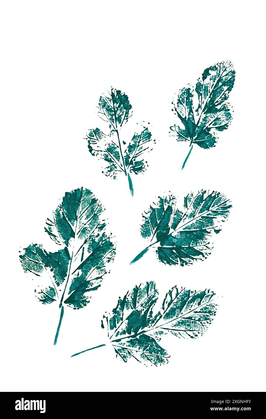 Stamp, Fig tree leaves, watercolor paint, on white background, abstract ...