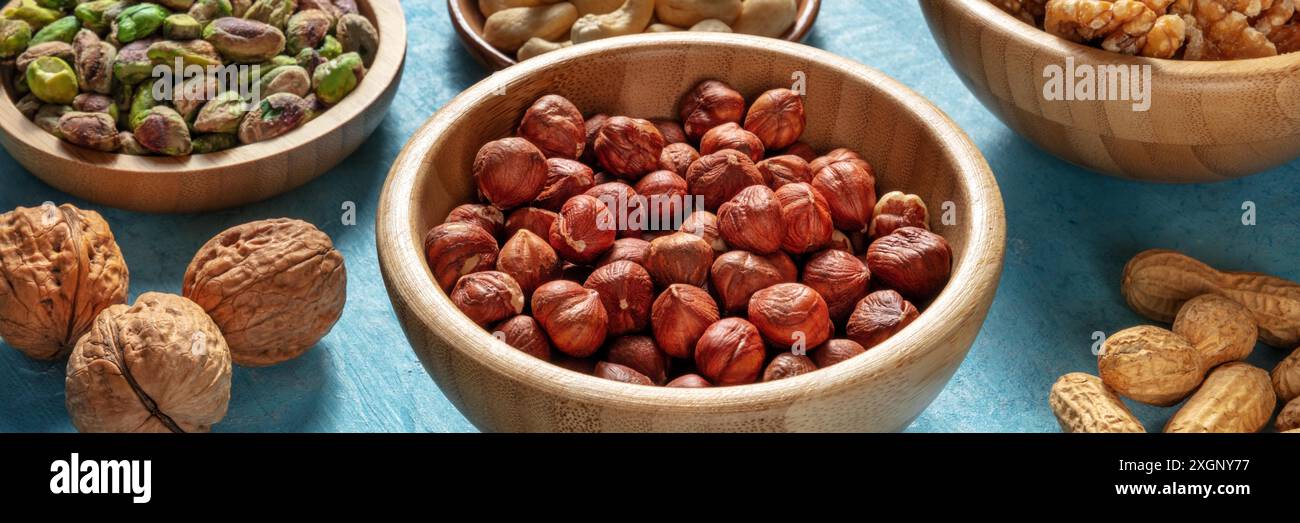 Hazelnuts, walnuts and other nuts panorama, an assortment Stock Photo