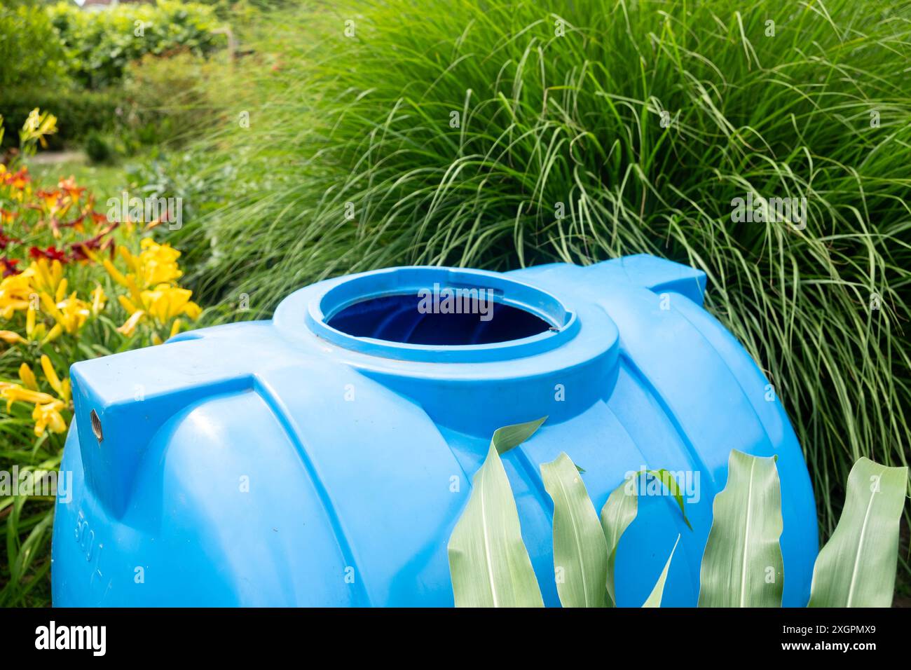 Close up container for collecting rainwater stands in the garden among