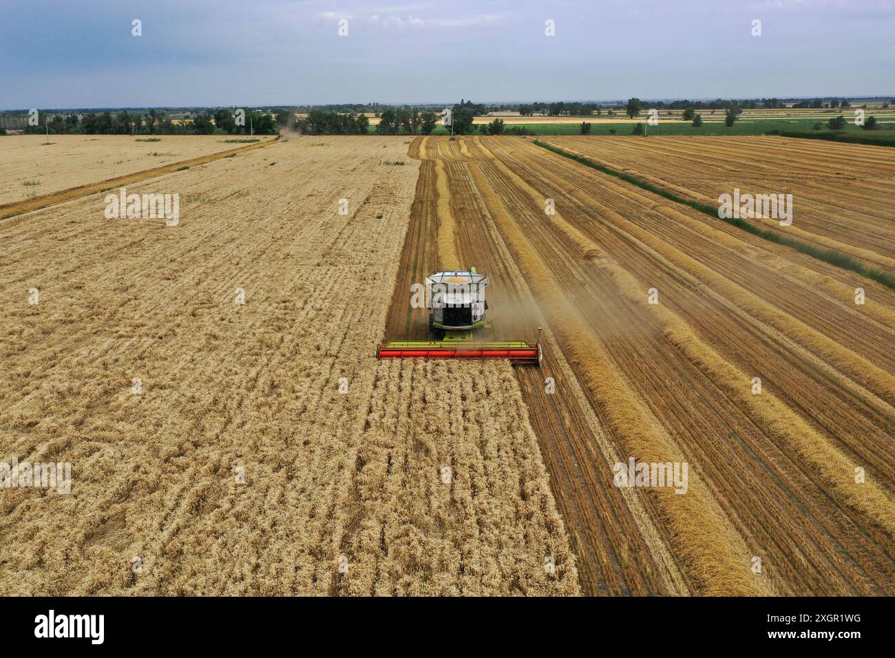 Qitai. 9th July, 2024. A drone photo taken on July 9, 2024 shows a reaper harvesting wheat in Qitai County, Changji Hui Autonomous Prefecture, northwest China's Xinjiang Uygur Autonomous Region. In recent days, Qitai County, a major wheat production area in northwest China's Xinjiang, greets its harvest season. Credit: Ding Lei/Xinhua/Alamy Live News Stock Photo