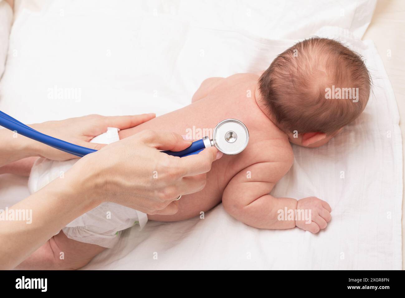 pediatric exam genital Male Genitourinary Examination | Concise Medical Knowledge