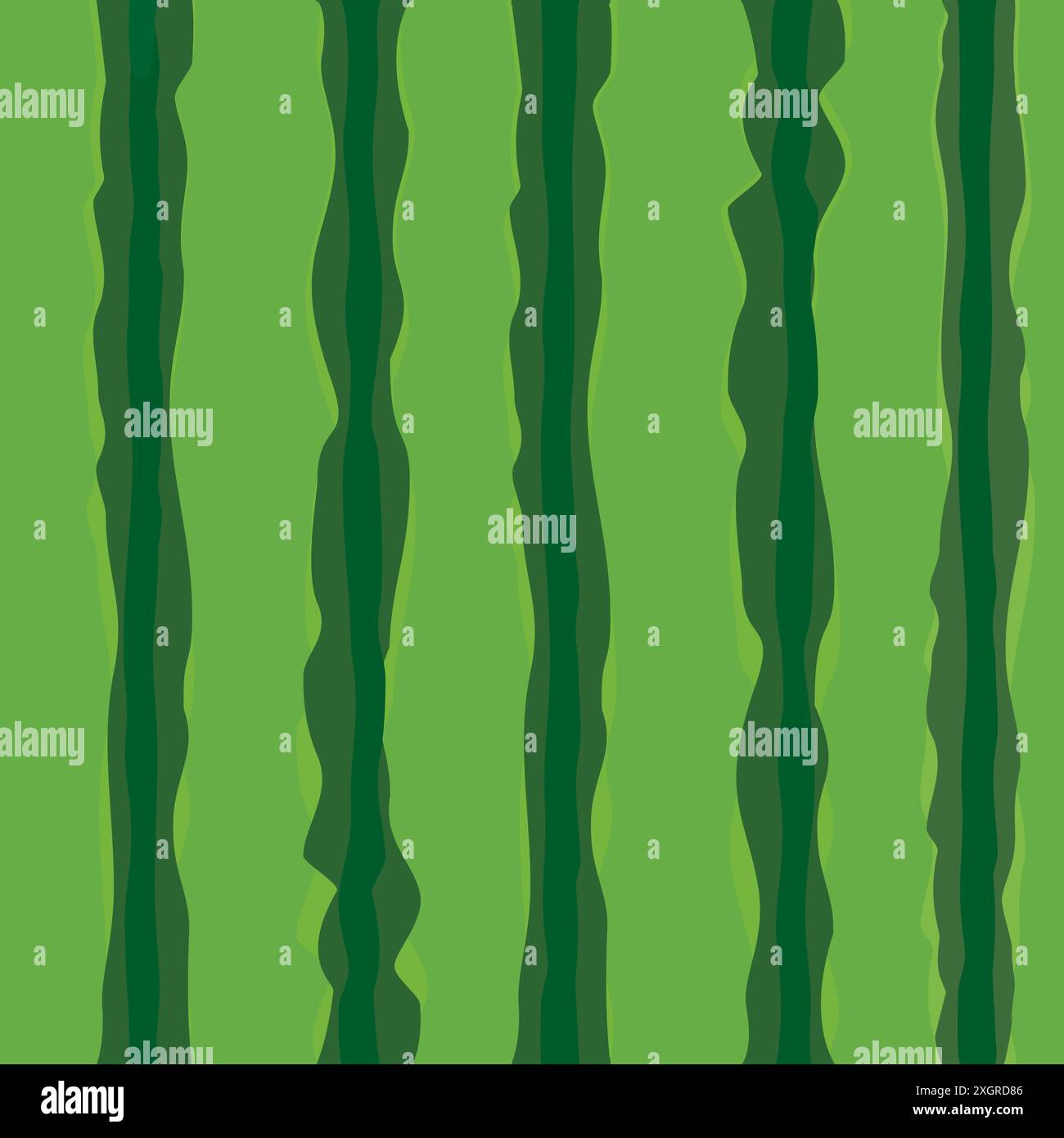 Watermelon Skin Texture Map 612x612