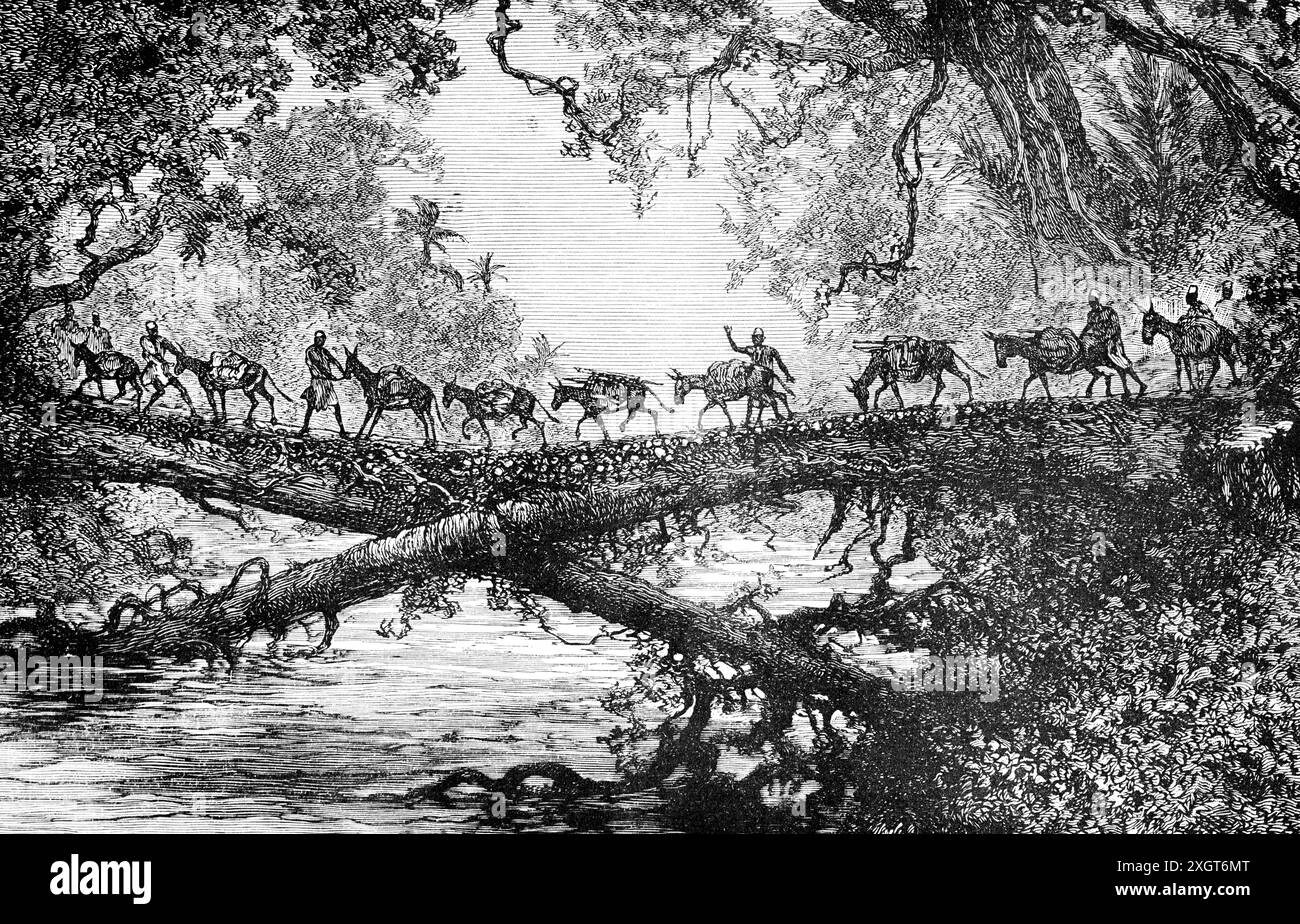 Bridge of the Mandinka or Malinke people across a small river,West Africa, historic illustration 1886 Stock Photo