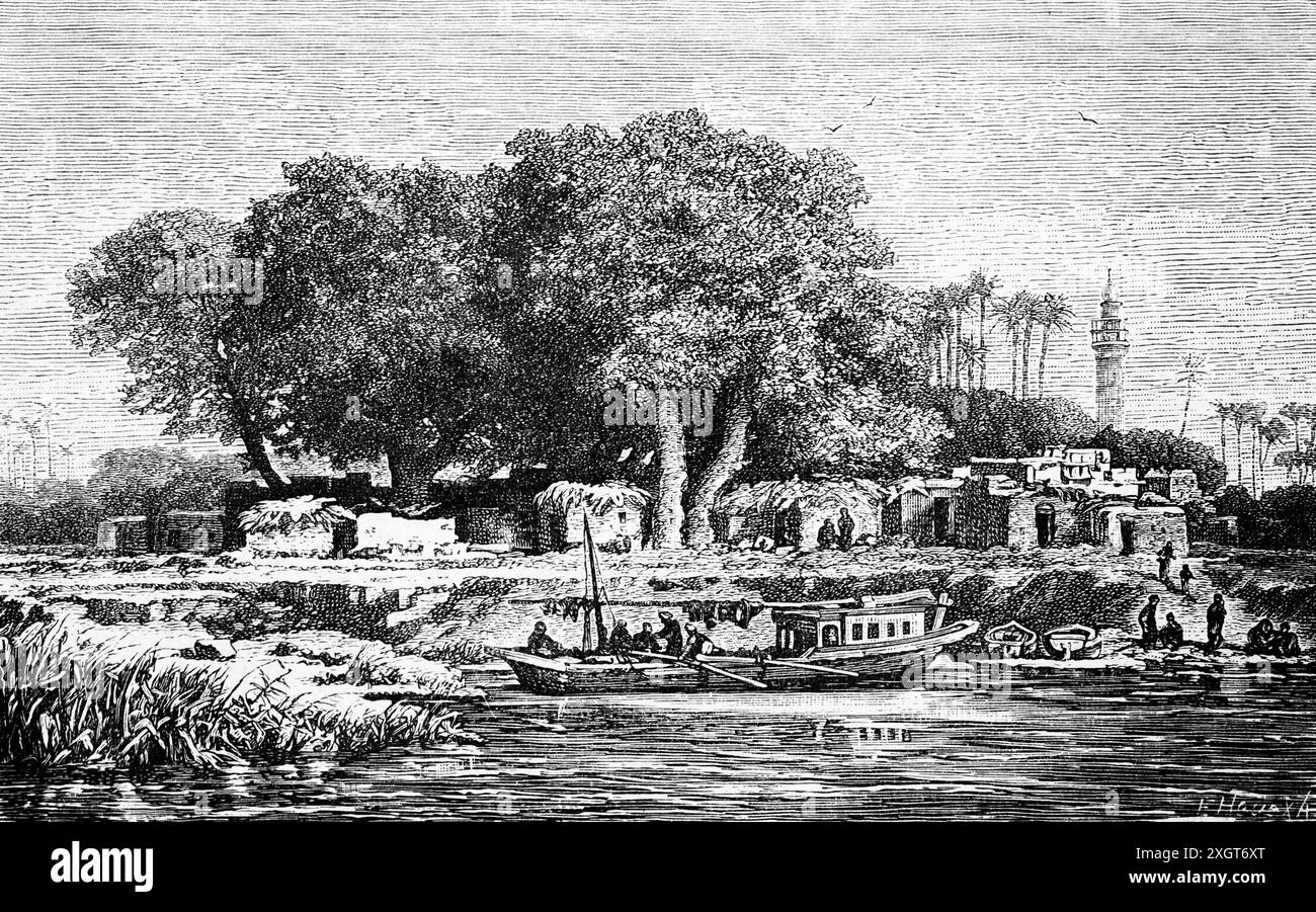 A village in the Nile delta mouth of the Nile Riiver, Egypt, North ...