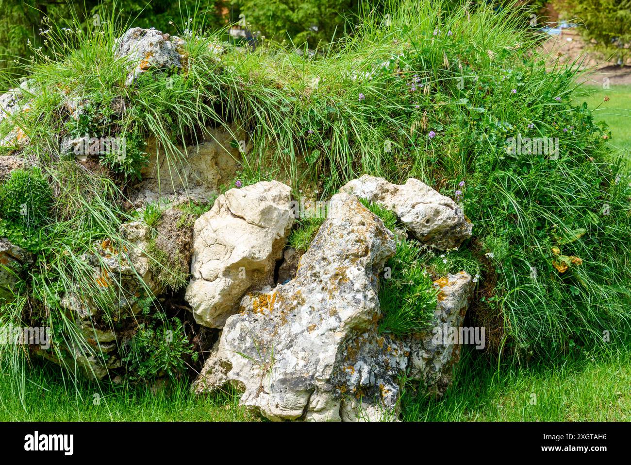 Rockery and green grass lawn hi-res stock photography and images - Alamy