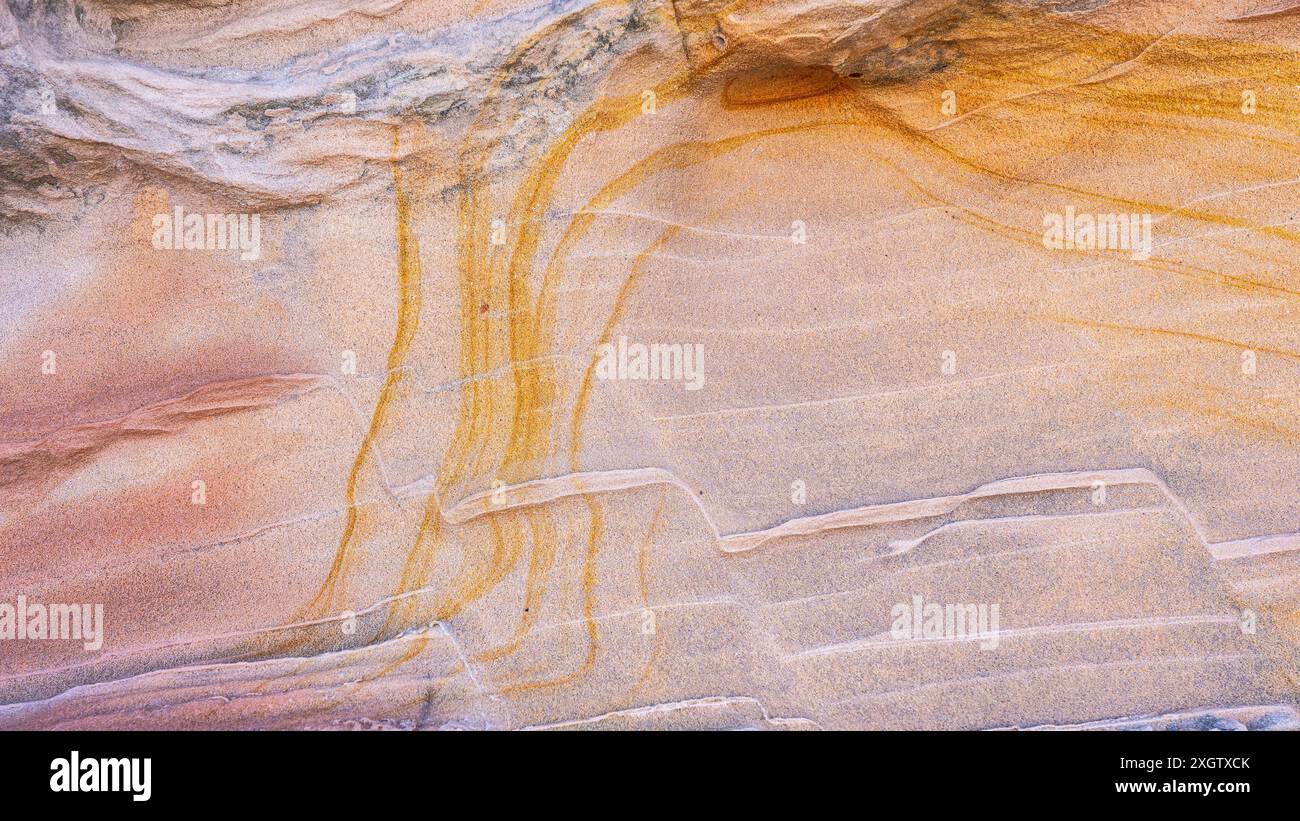 This image captures the intricate, naturally occurring patterns and ...