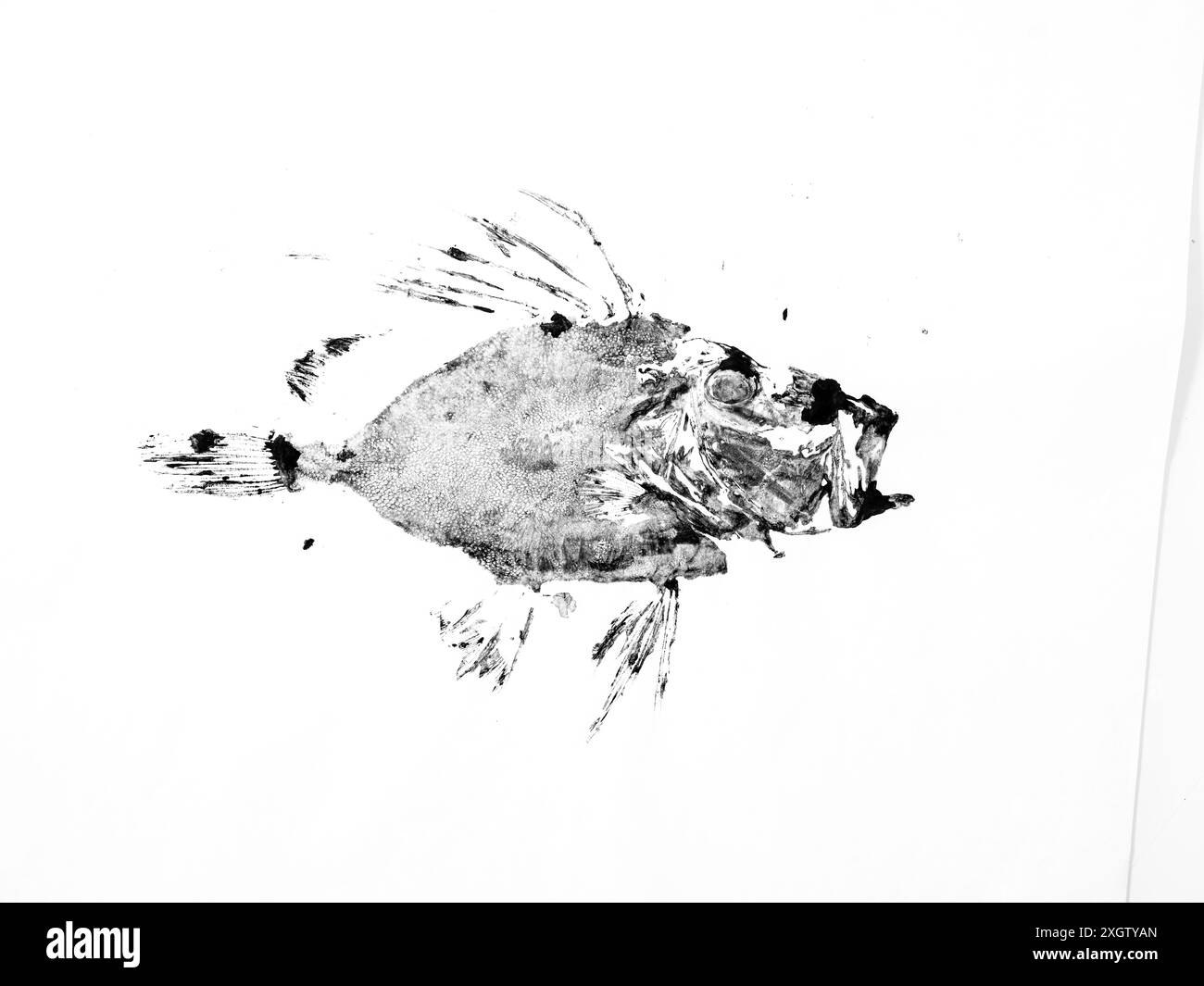 John rice Cut Out Stock Images & Pictures - Alamy