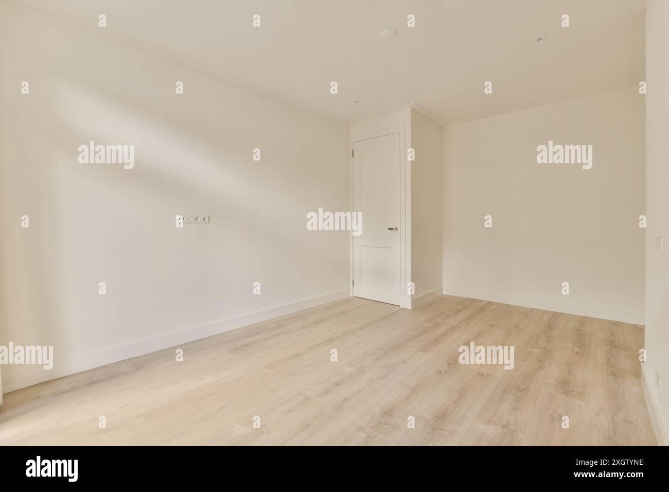 A spacious minimalist room interior design emphasizing simplicity, with sunlight casting shadows on a blank wall, complemented by light wooden floorin Stock Photo