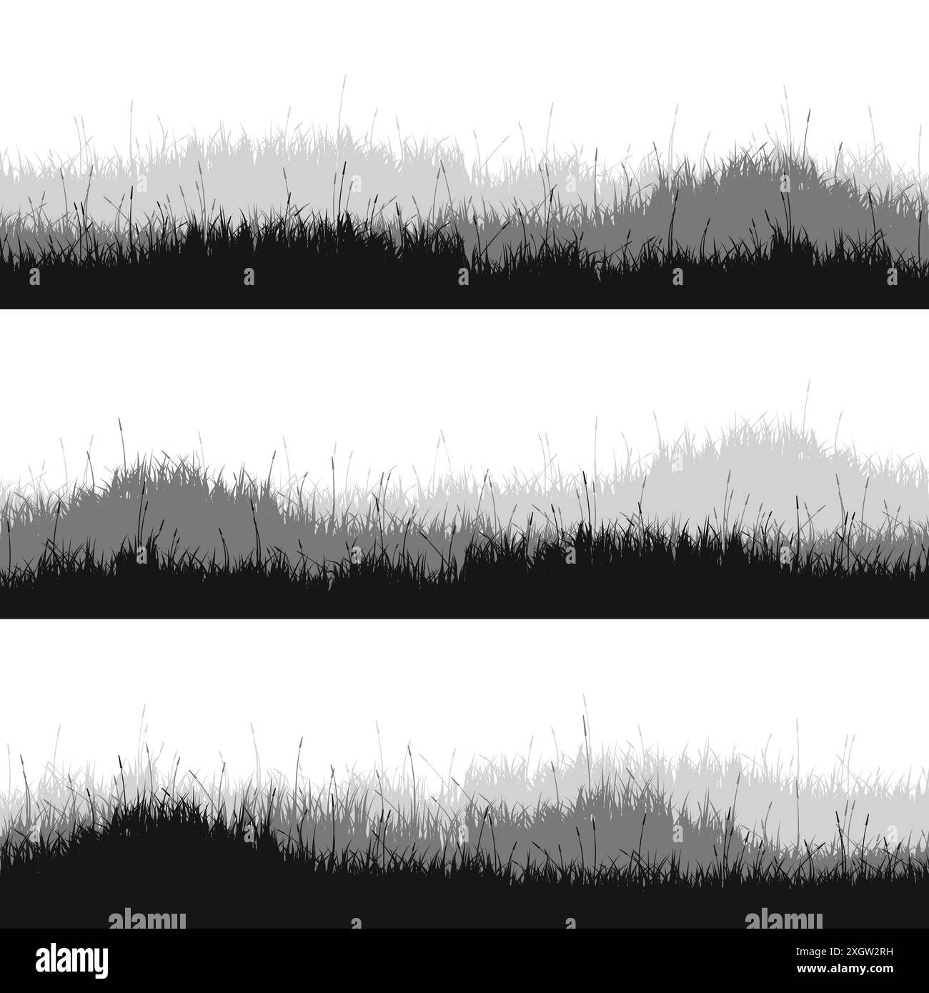 Flower border panorama Black and White Stock Photos & Images - Alamy