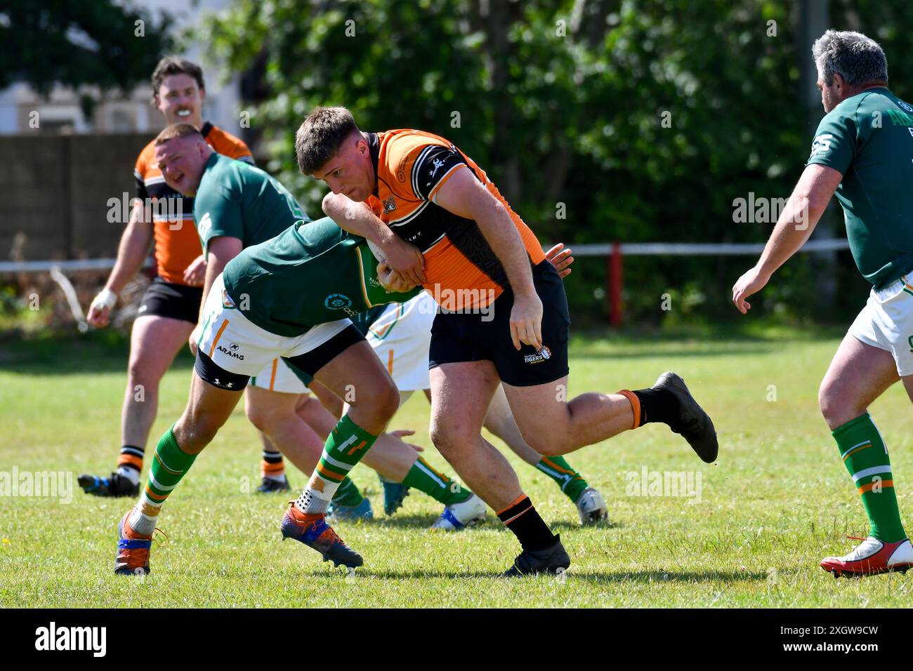 Celtic Rail RFC Junior's Red Pro Match Socks Celtic Rail RFC Junior's Red Pro Match Socks