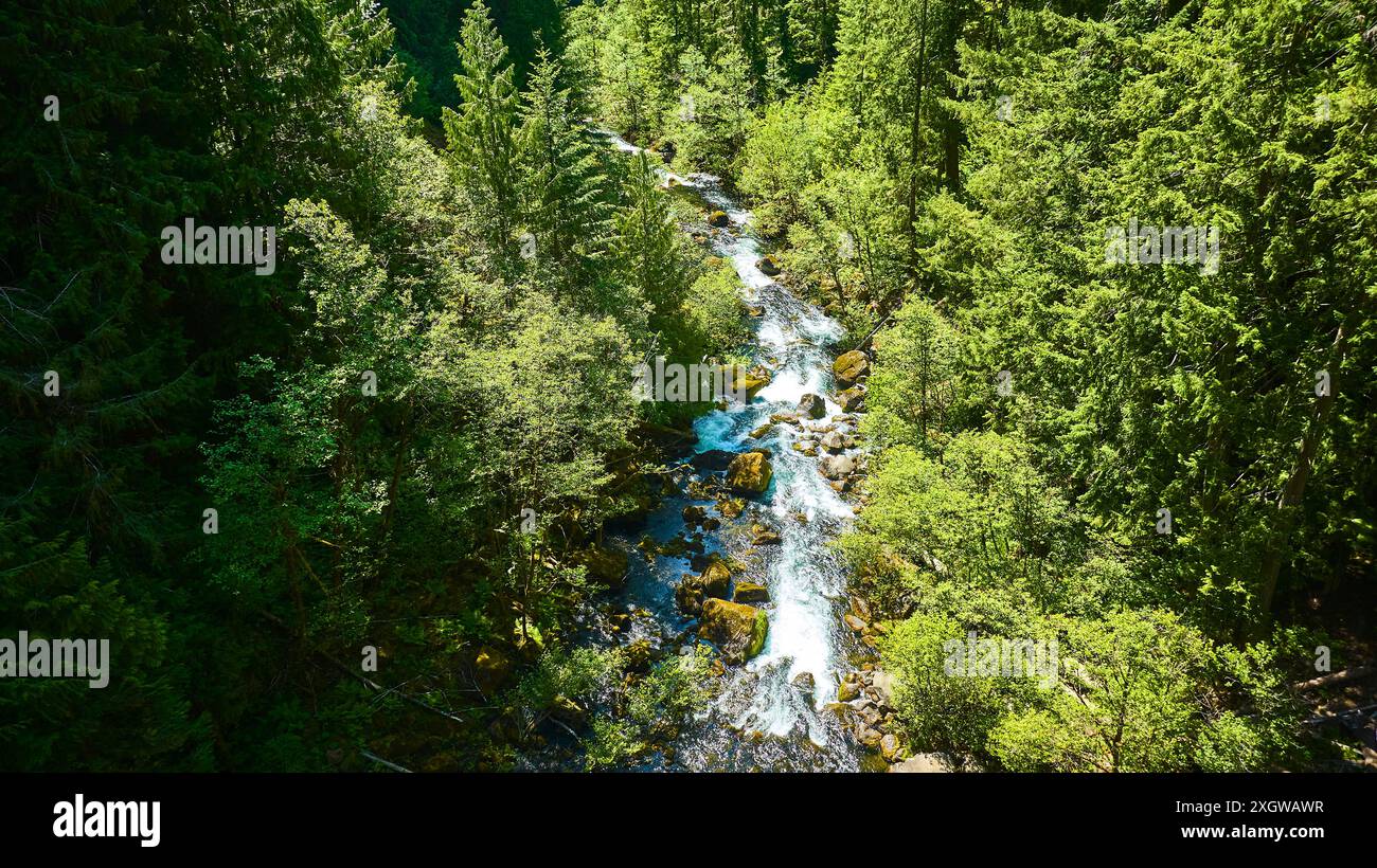 Aerial View of Serene Forest River and Lush Greenery Stock Photo - Alamy