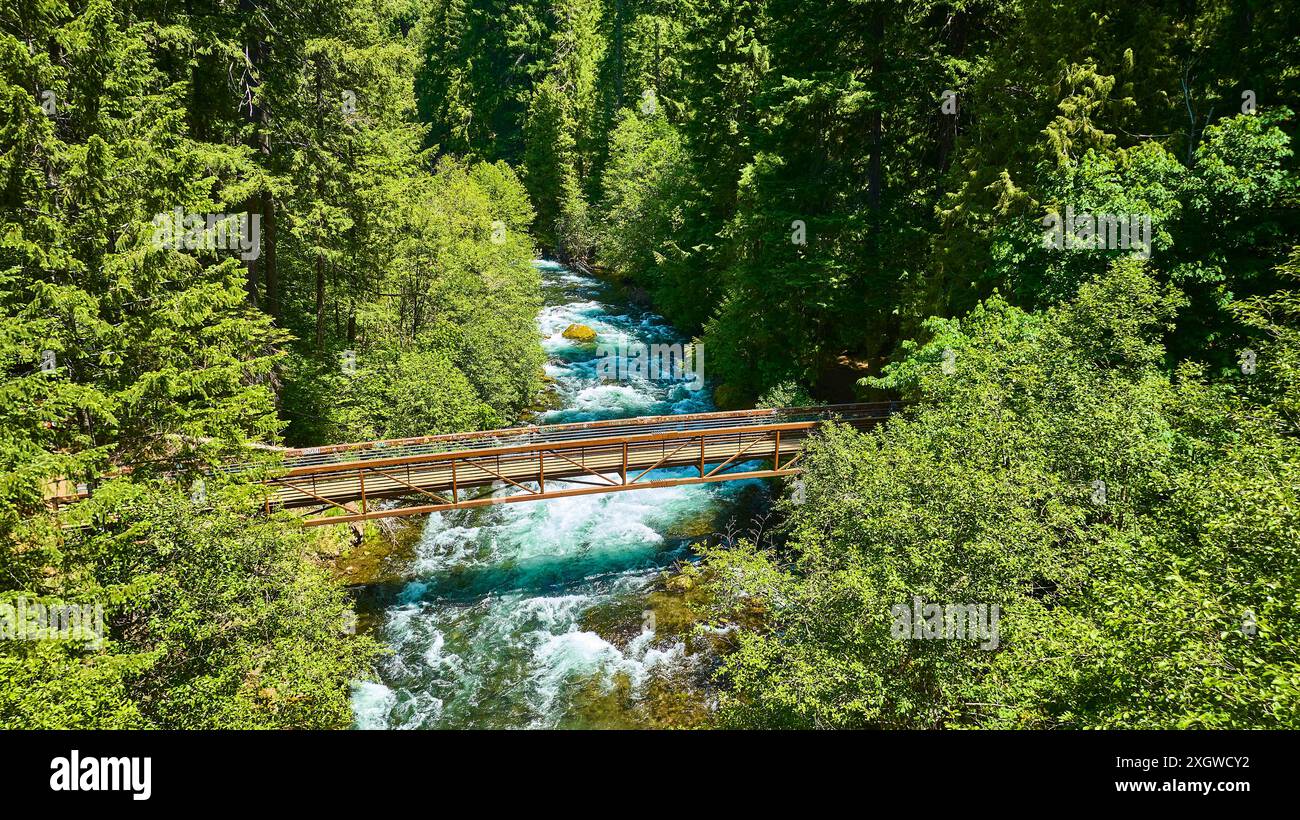 Aerial View of Wooden Bridge over River in Lush Green Forest Stock ...