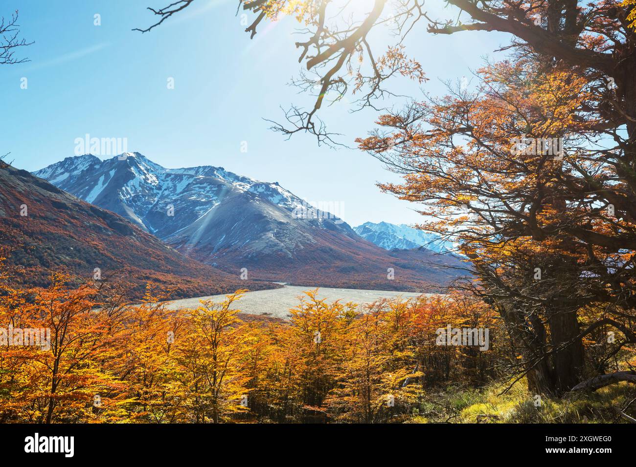 Autumn season in Patagonia mountains, South America, Argentina Stock ...