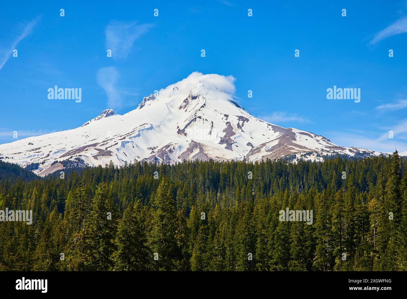 Midday View Hood national forest hi-res stock photography and images - Alamy