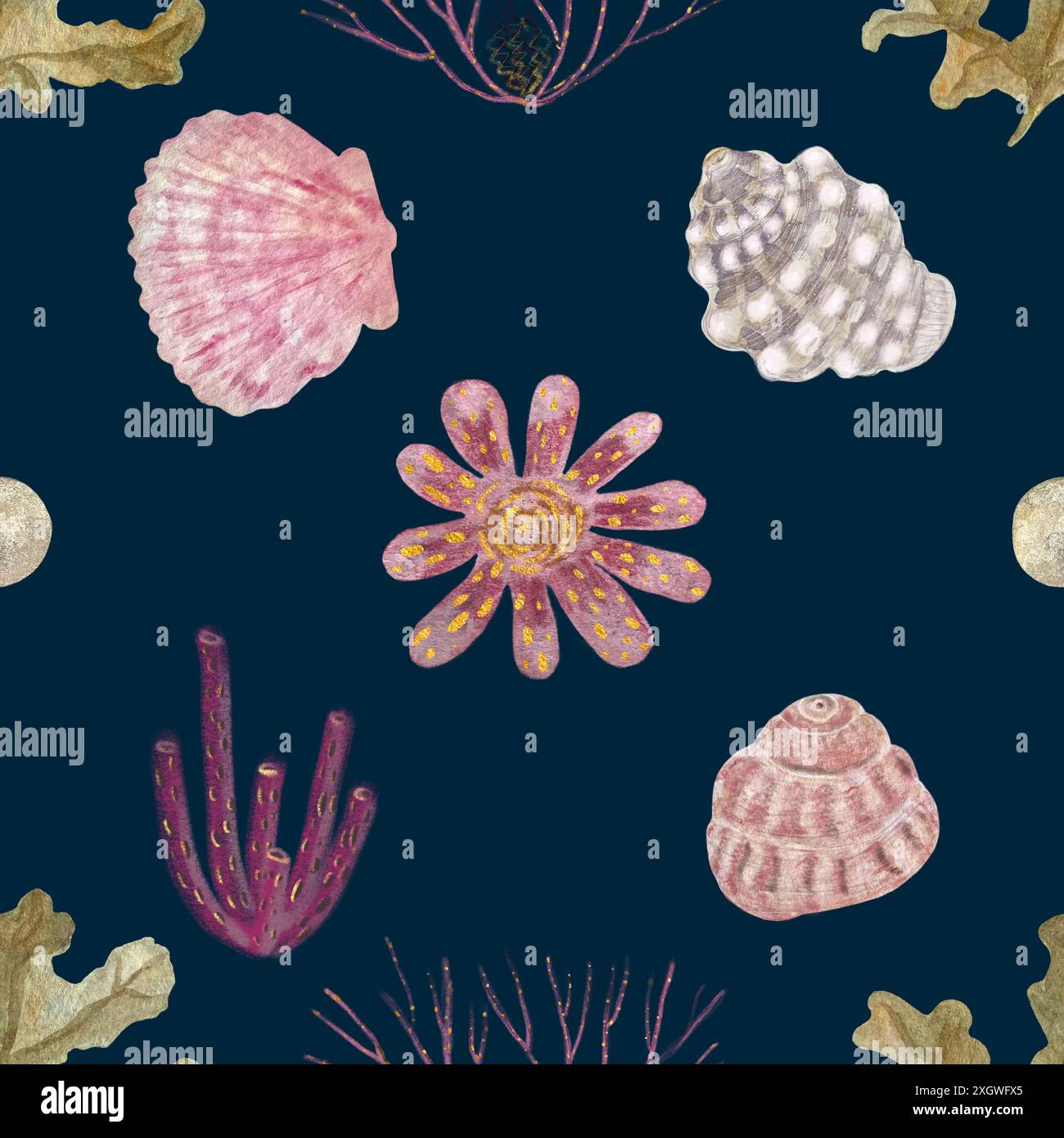 Hand with colourful shells hi-res stock photography and images - Alamy