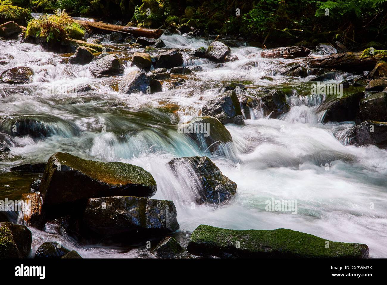 Freshwater stream over mossy rocks hi-res stock photography and images ...