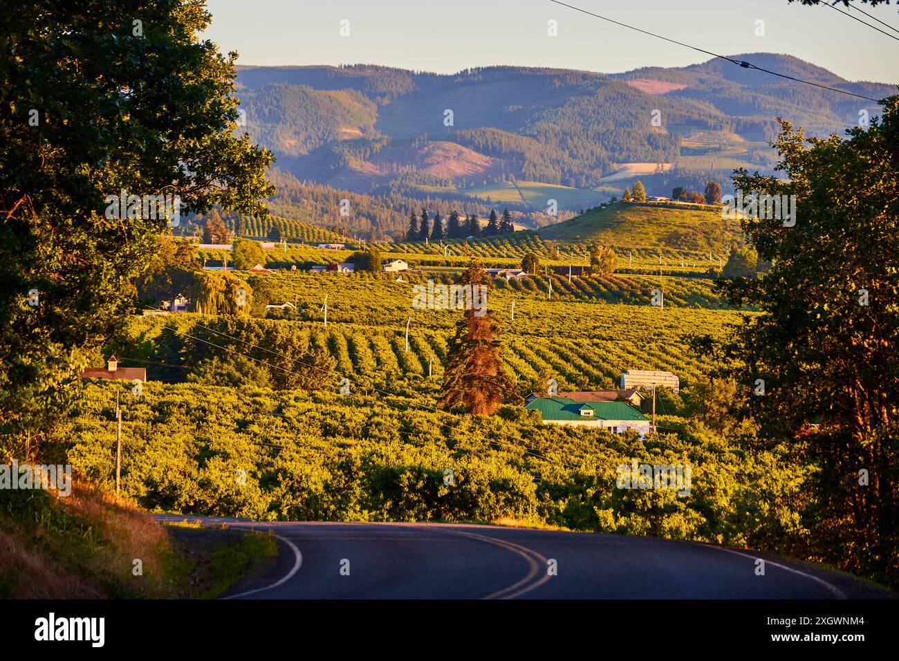 Lush orchards rolling hills hi-res stock photography and images - Alamy