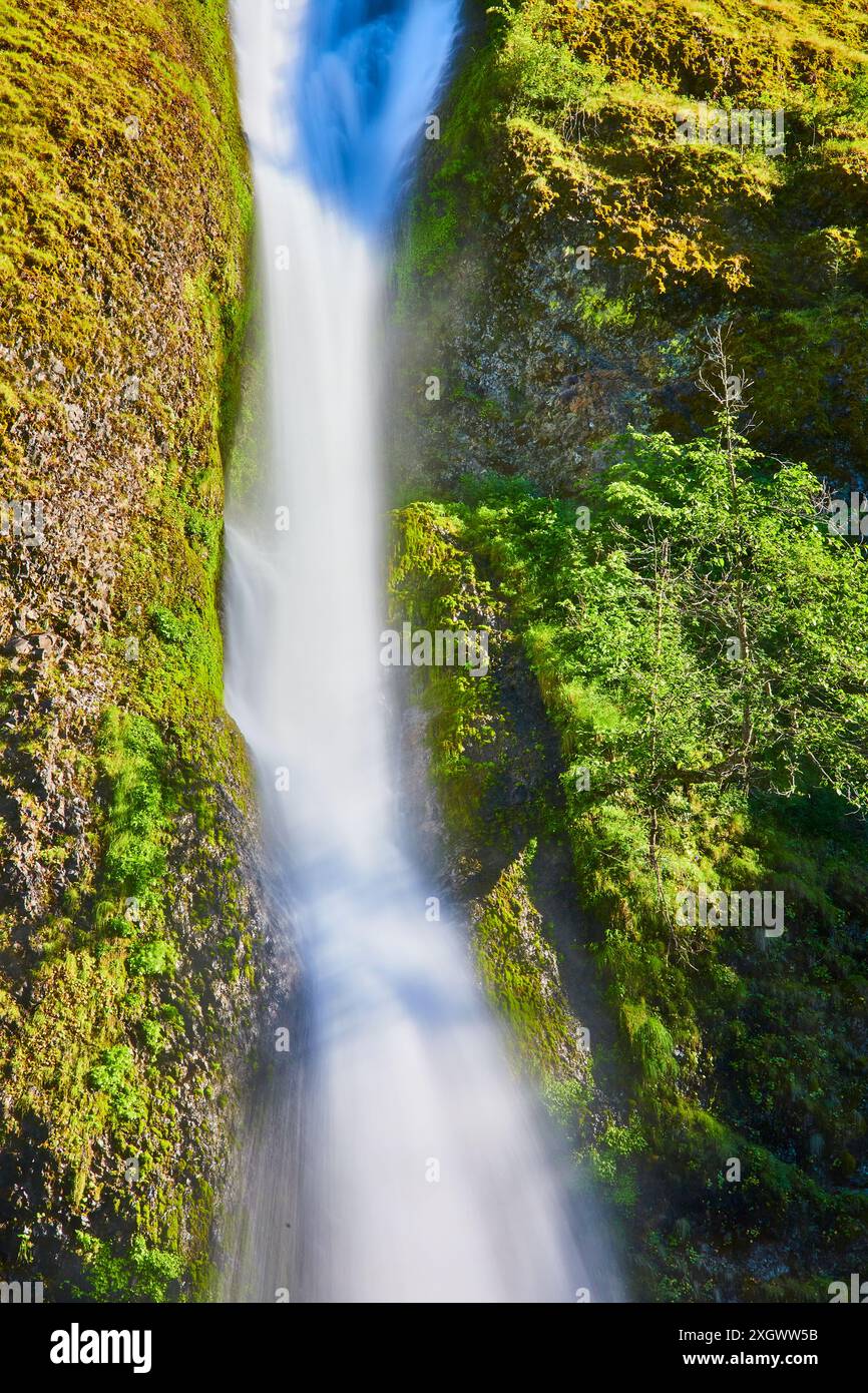 Silky Waterfall Motion in Lush Forest from Eye Level Stock Photo