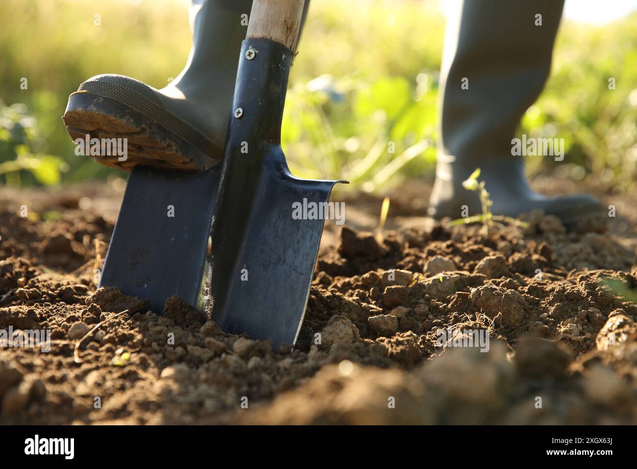 Farmer man digging shovel garden hi-res stock photography and images ...