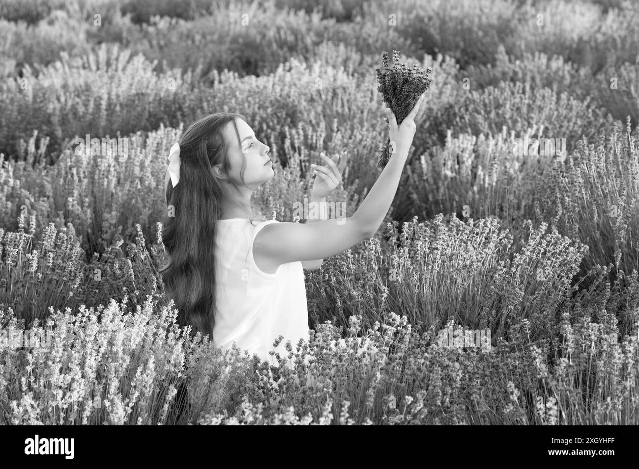 girl walk through lavender field in summer. caucasian girl in lavender