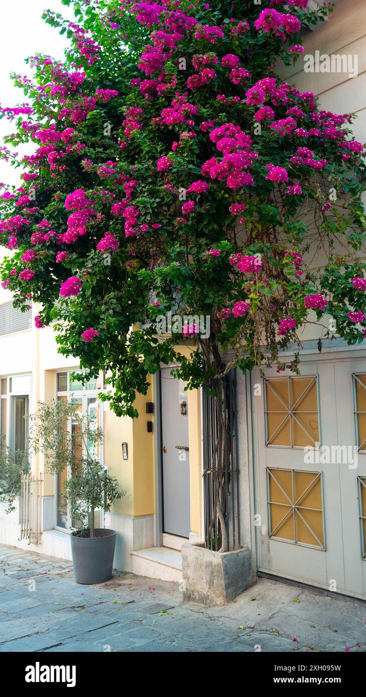 Mediterranean house design hi-res stock photography and images - Alamy, image size:730x1390