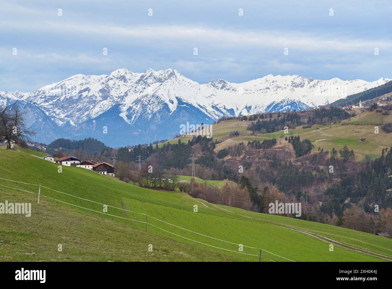 Alps alpine panorama view tree hi-res stock photography and images - Alamy