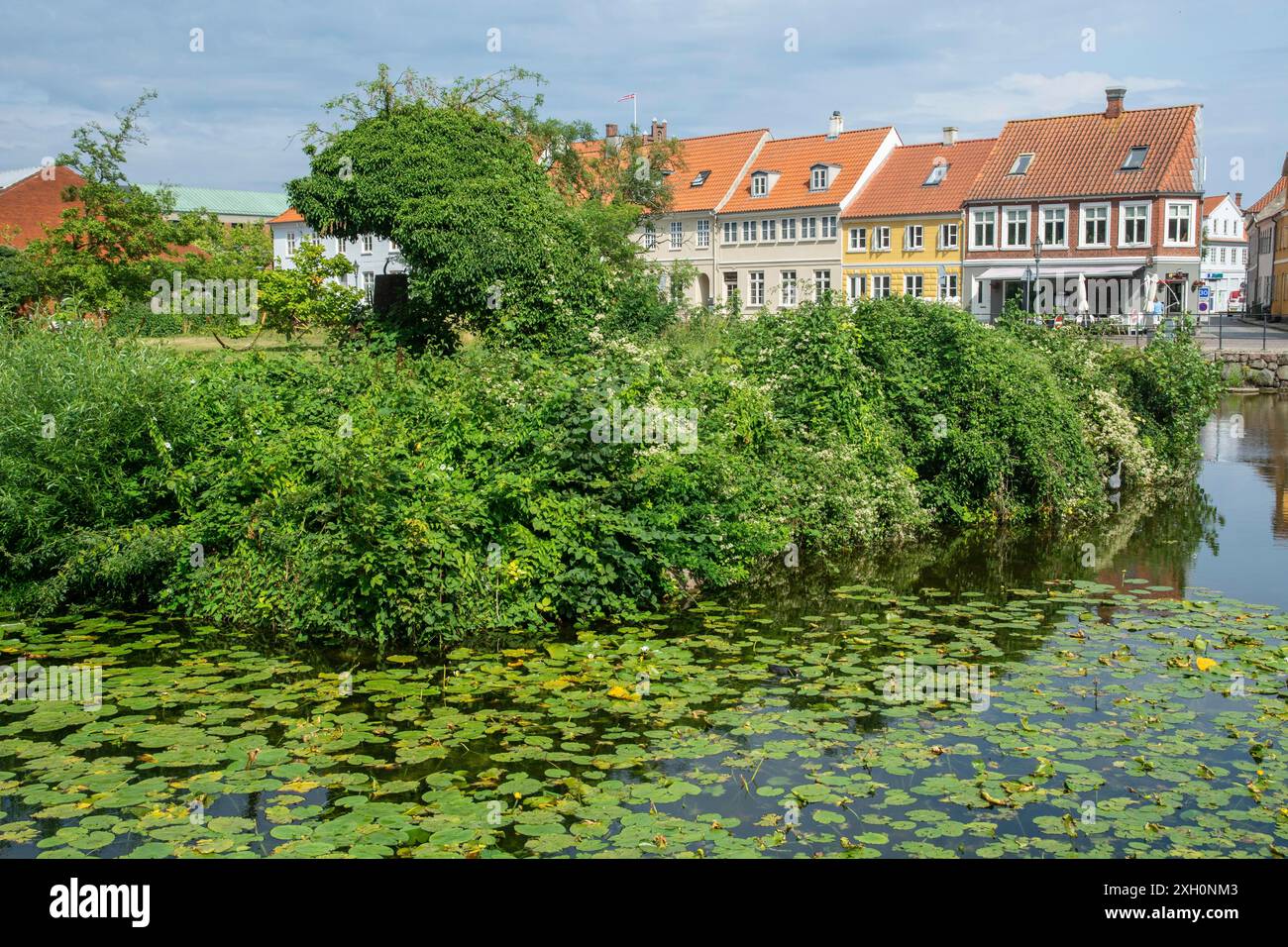 Houses at a pond in the old town of Nyborg, Funen, Fyn, Fyn Island, Denmark, Scandinavia Stock Photo