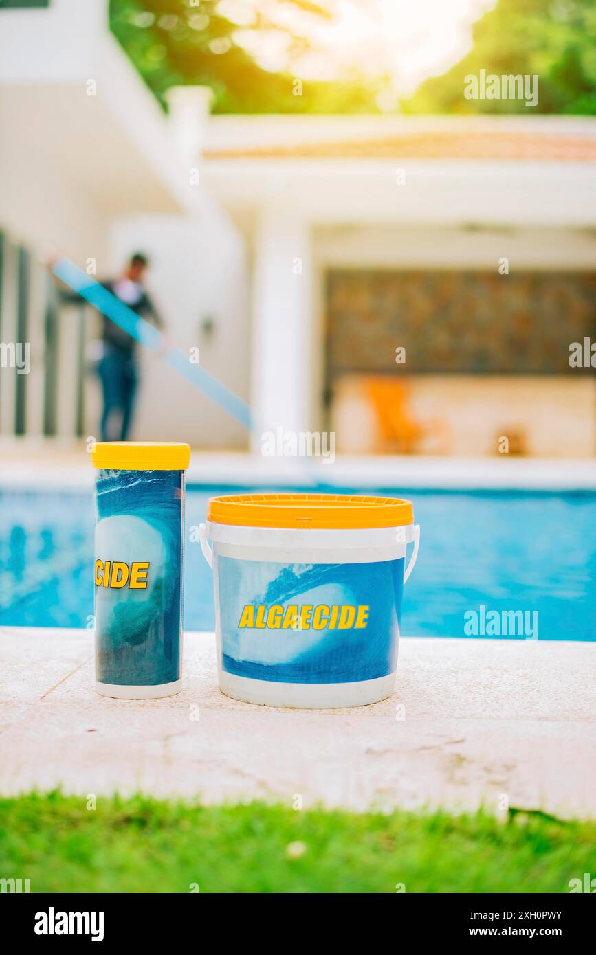 Algaecide and clarifier for cleaning and purity of swimming pools