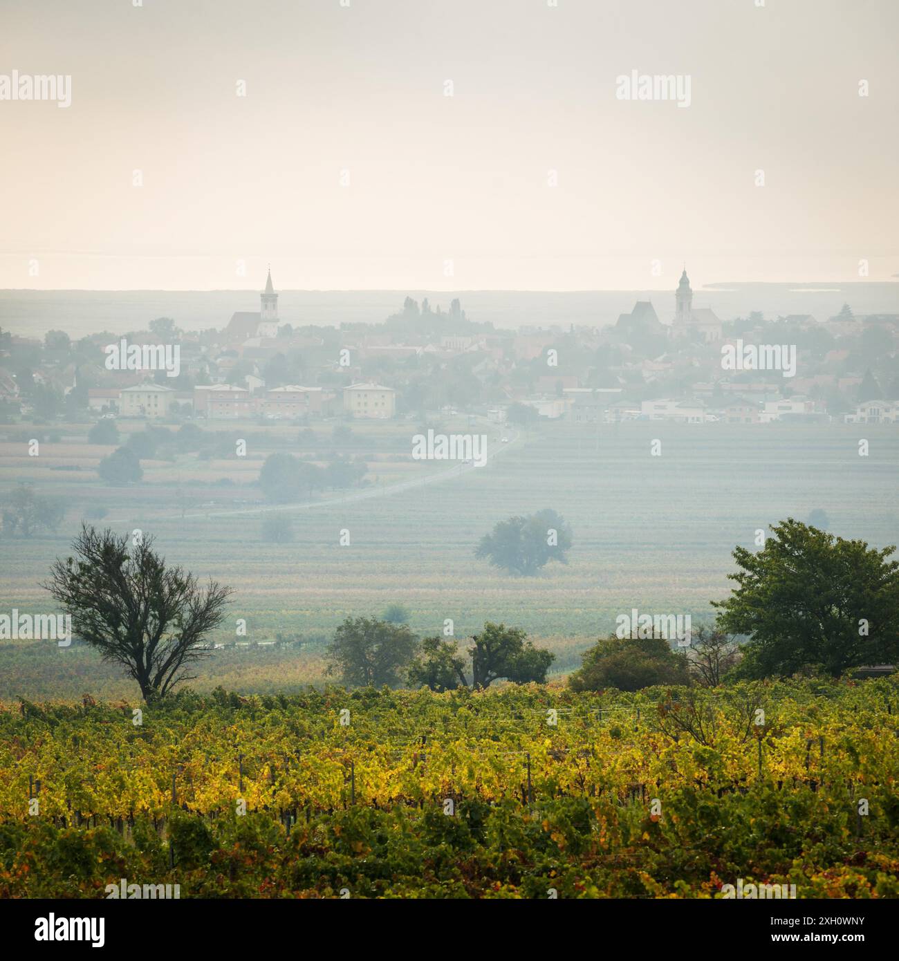 Village of Rust at Neusiedlersee with fog on the lake Stock Photo