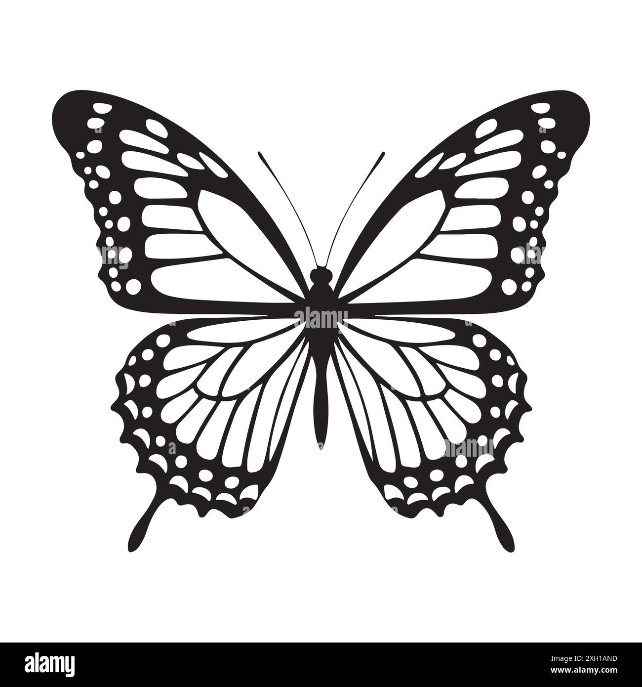 Butterfly Vector silhouette illustration. Black and white Stock Vector