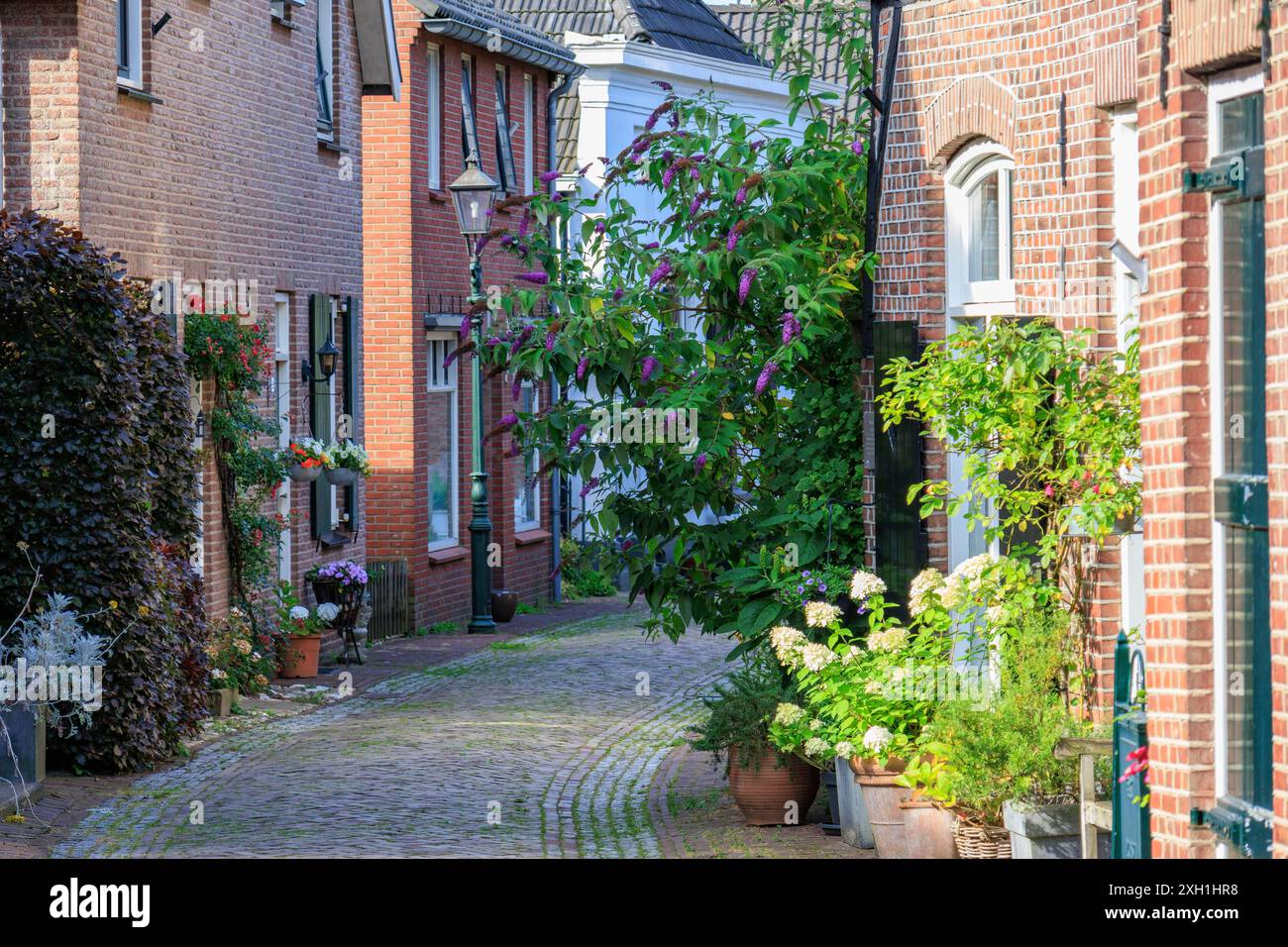 Narrow lot houses hi res stock photography and images Alamy Narrow lot houses hi res stock photography and images Alamy