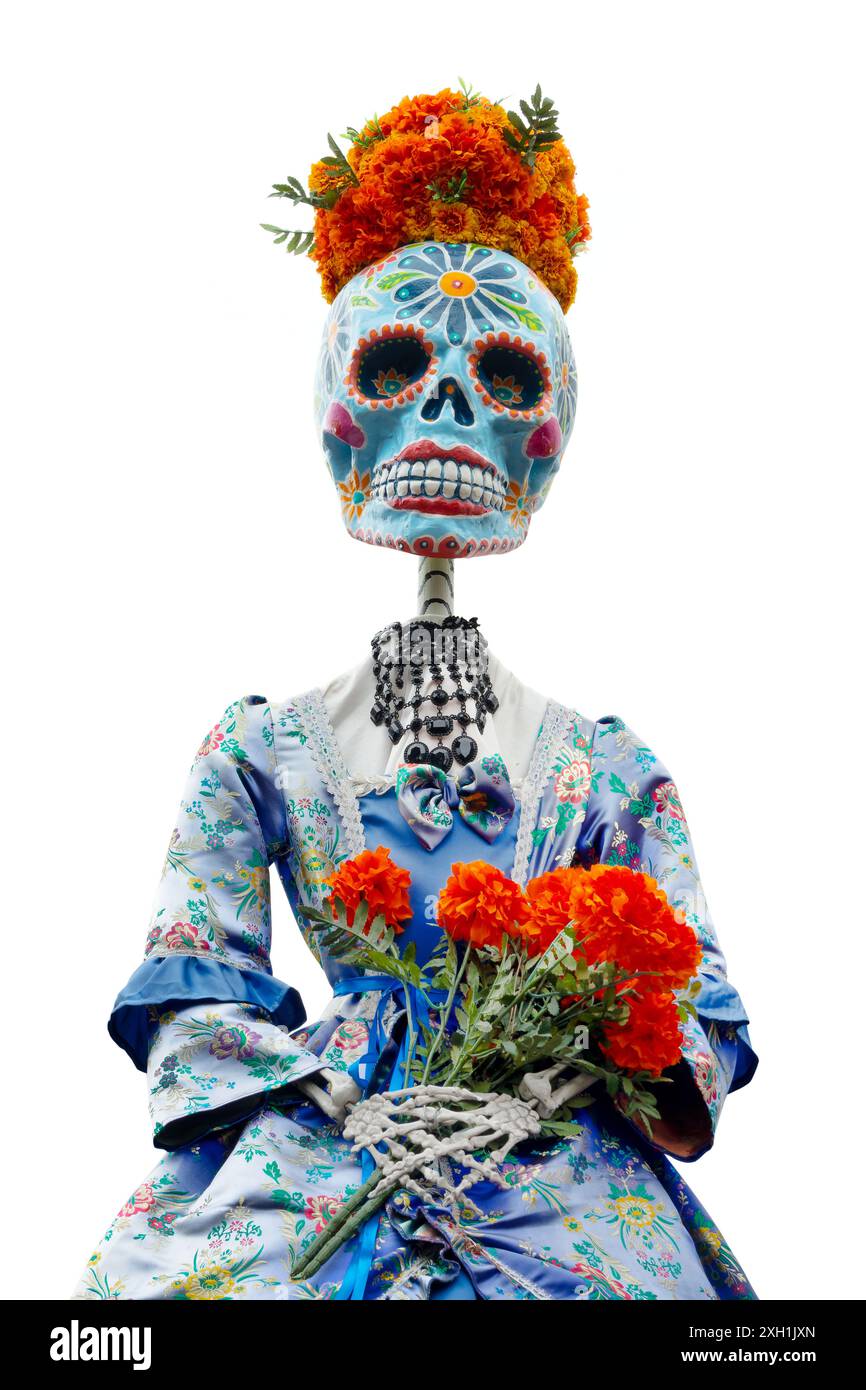 Dia de los Muertos (Day of the Dead) ornament, funny skull woman portrait isolated on white background, Halloween decor, Mexican traditional holiday Stock Photo
