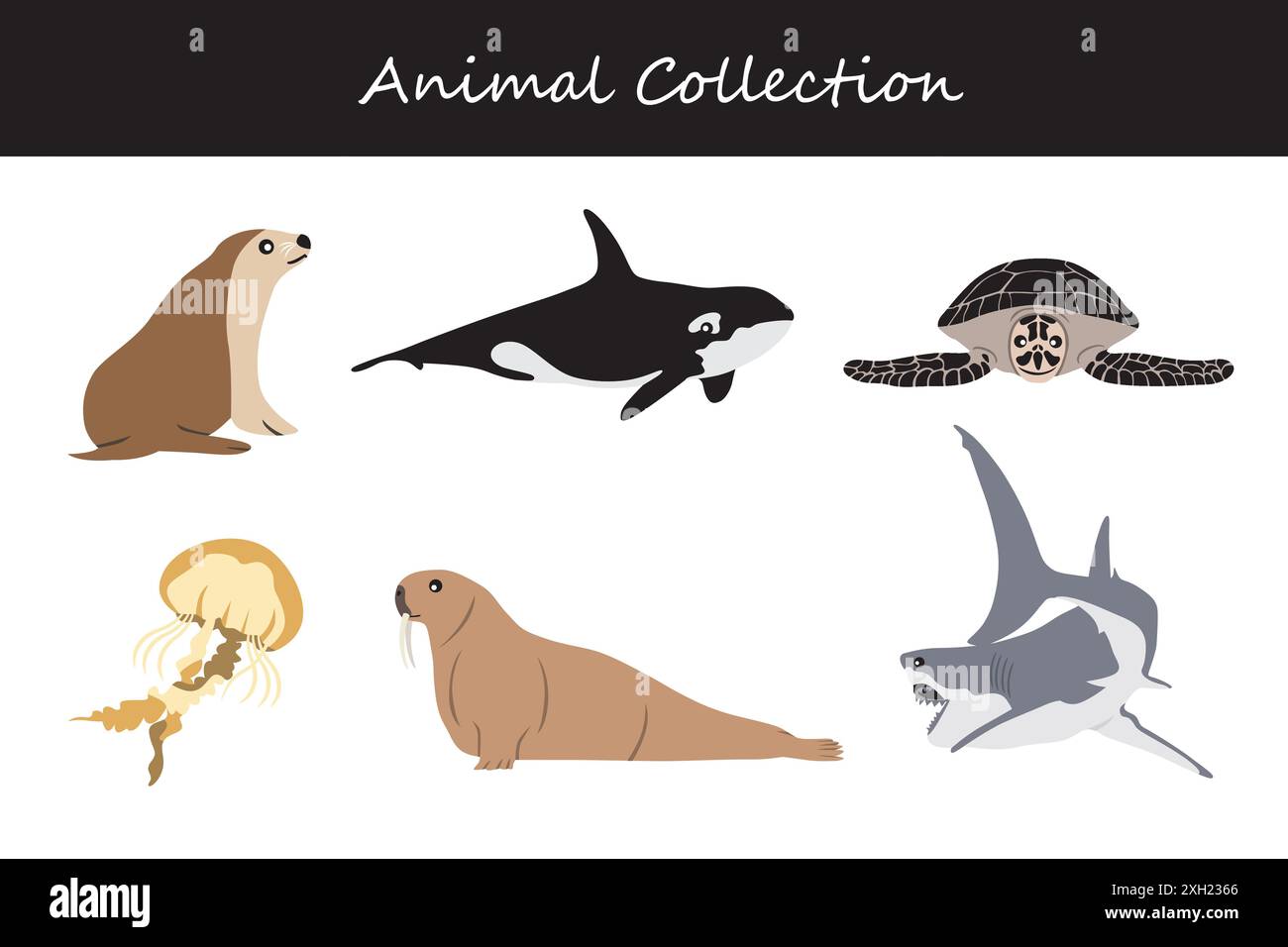 Animals collection. Flat style vector illustration Stock Vector Image ...