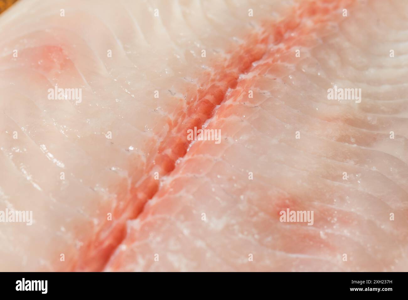 Organic Raw White Catfish Filet Ready to Cook Stock Photo - Alamy