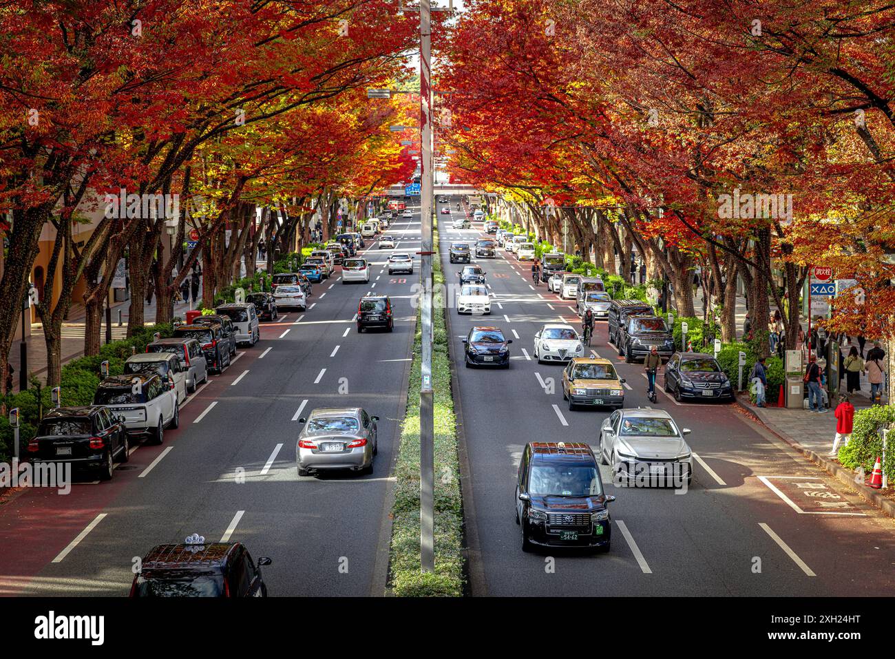 TOKYO/JAPAN - November 21, 2023: Cars driving down a busy city street  trees  vibrant colors  fall season Stock Photo