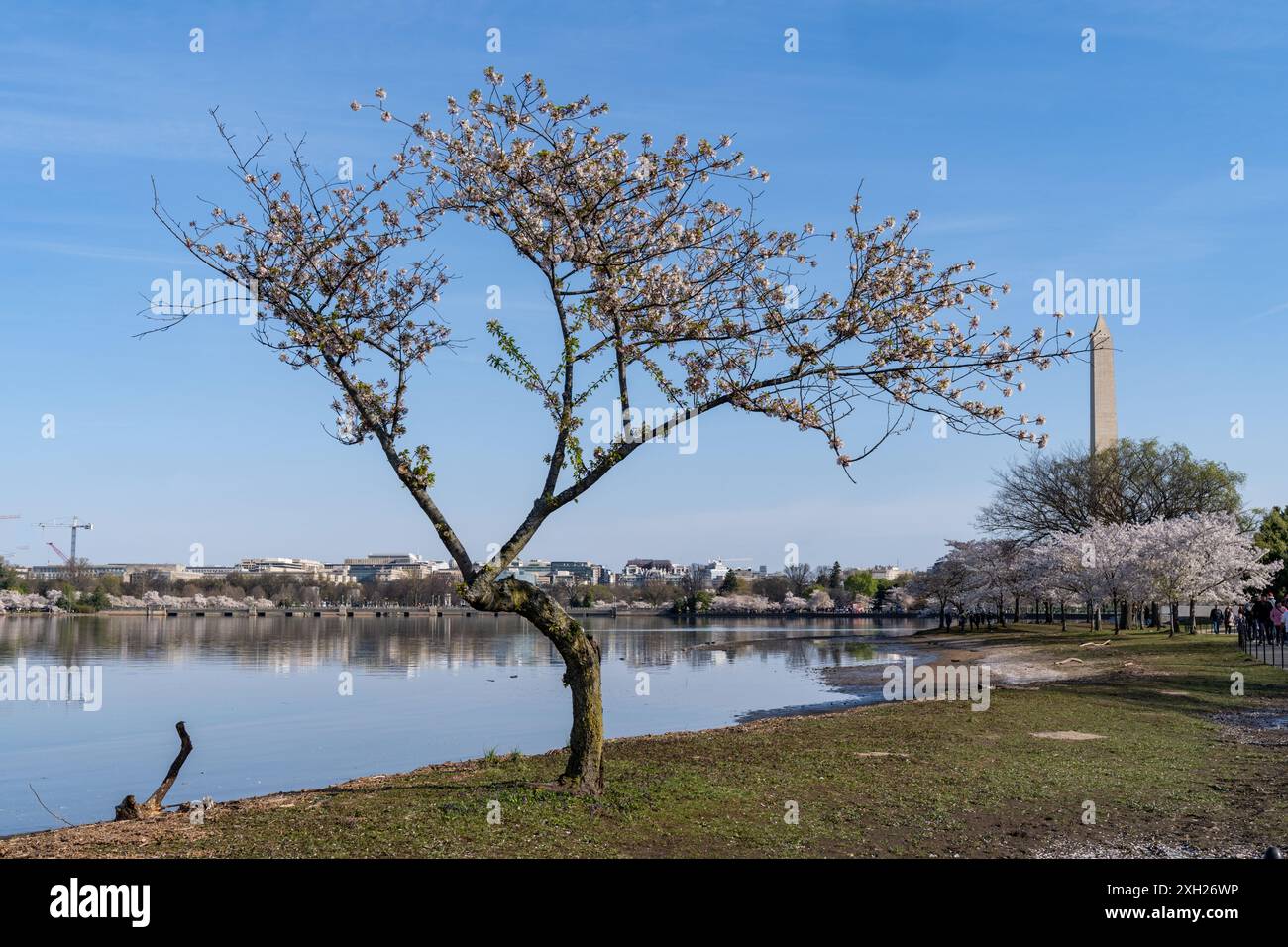 Tidal basin flooding prevention hi-res stock photography and images - Alamy