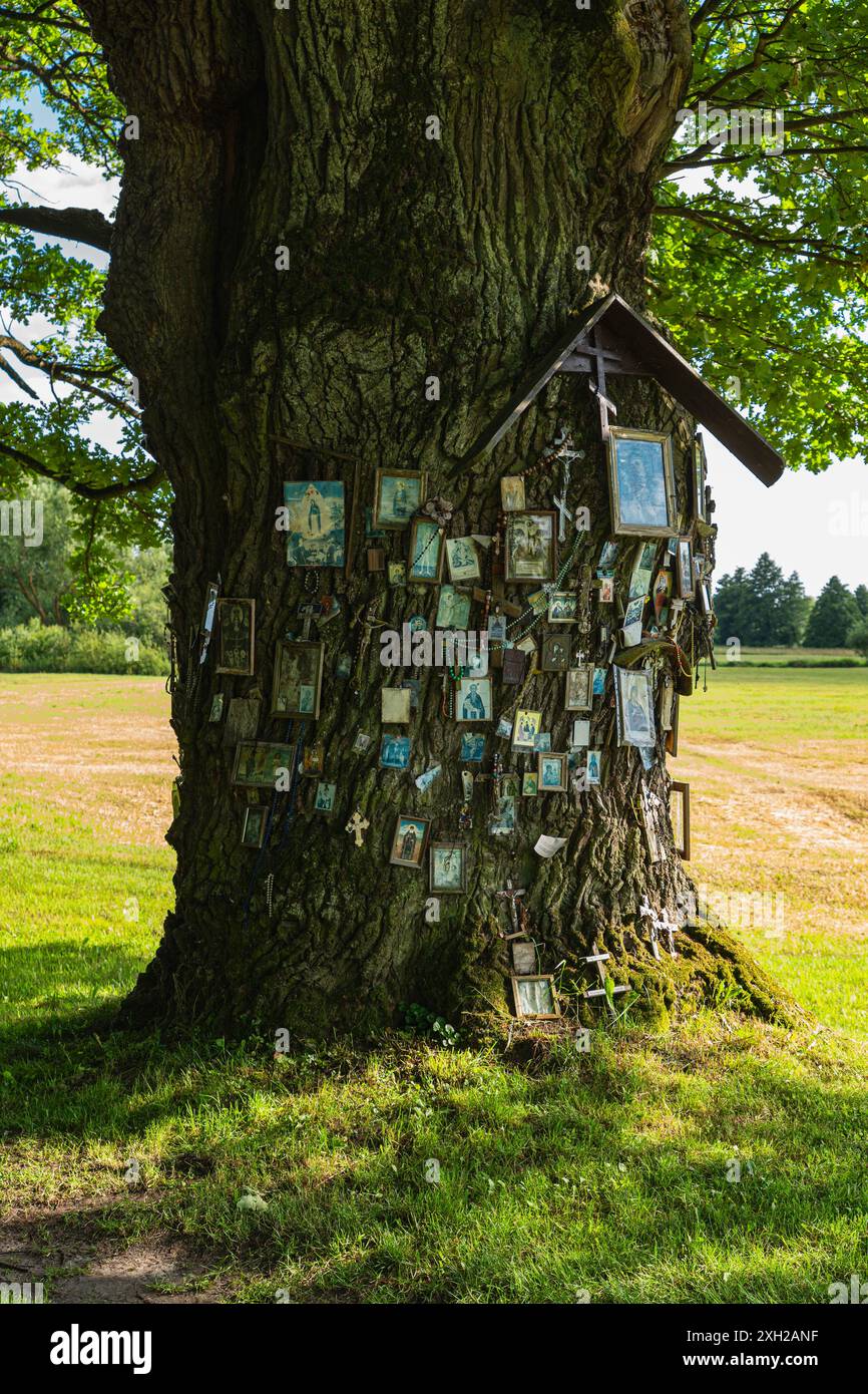 Cross hanging tree hi-res stock photography and images - Alamy