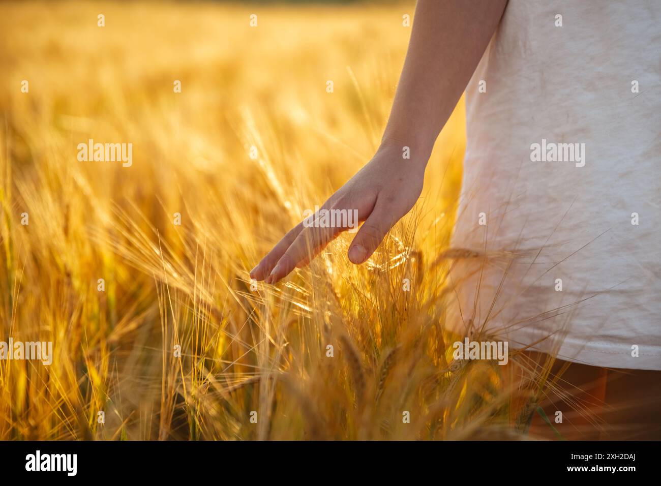 Country girl in wheat field hi-res stock photography and images - Alamy
