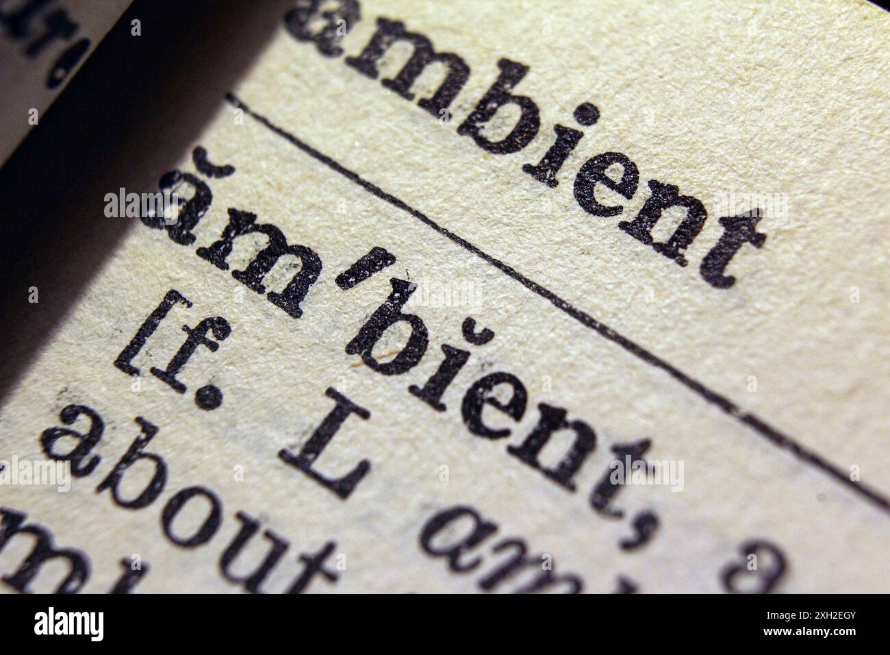 Word ambient on dictionary page, macro close-up Stock Photo