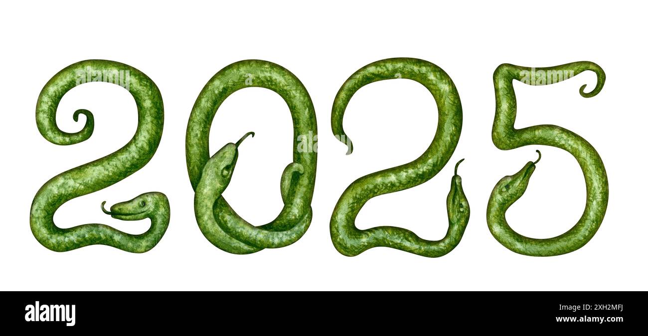Number 2025 in the form of a green snakes as a symbol of Happy Chinese