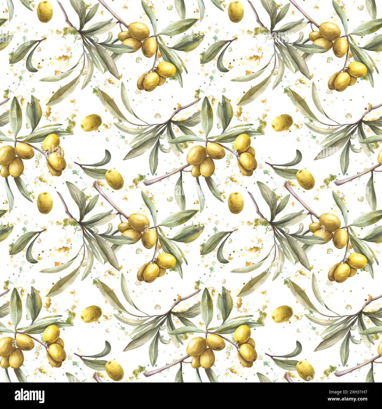 Olive tree branch with green leaves and berries on watercolor splashes ...