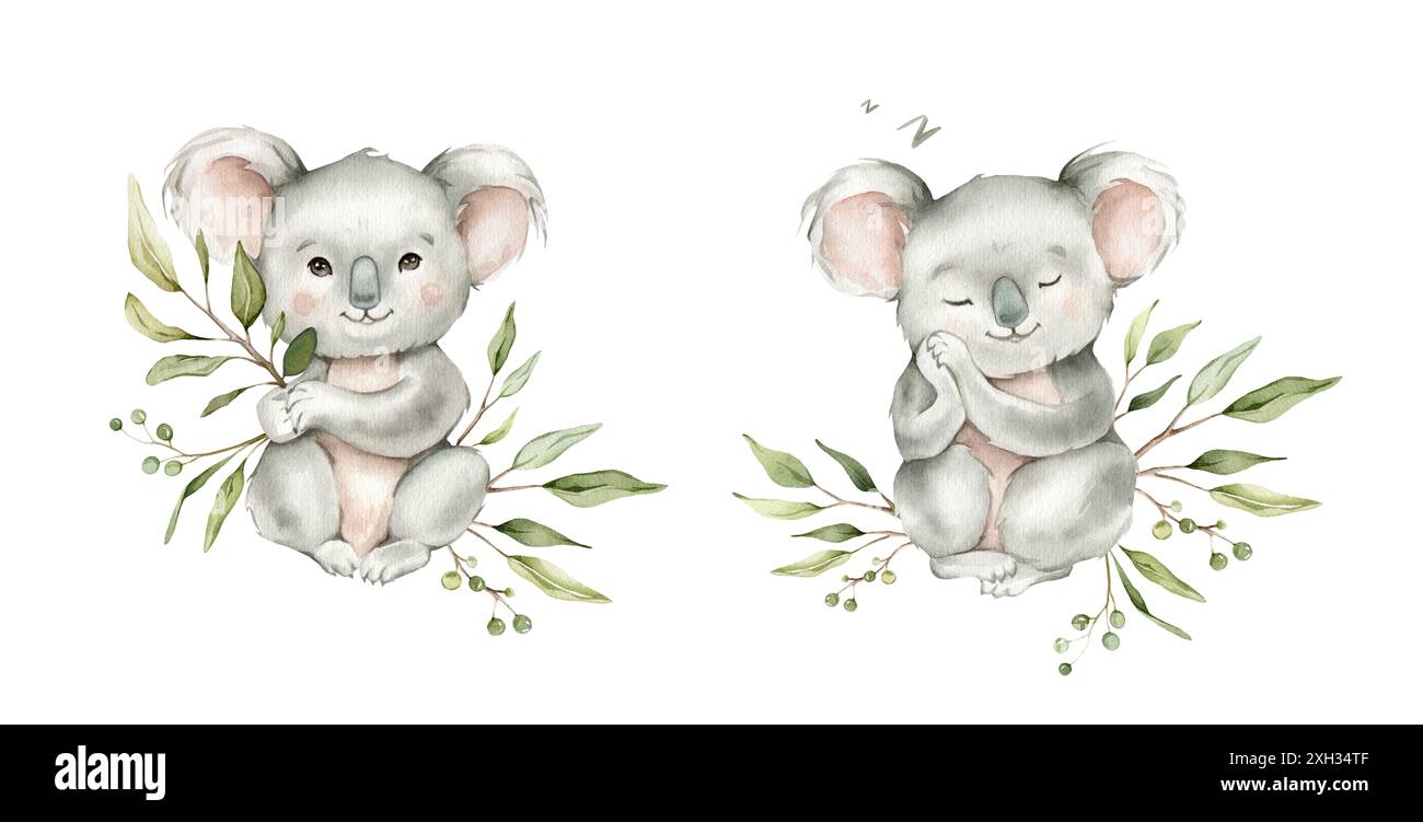 Set of cute kawaii koalas sitting with green branch eucalyptus and ...