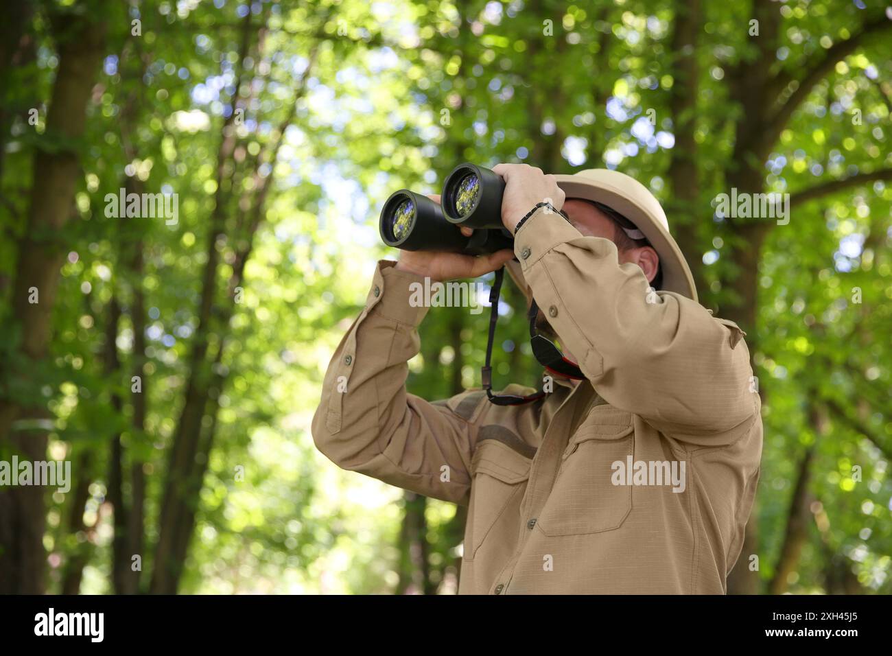Forester with binoculars examining plants in forest Stock Photo
