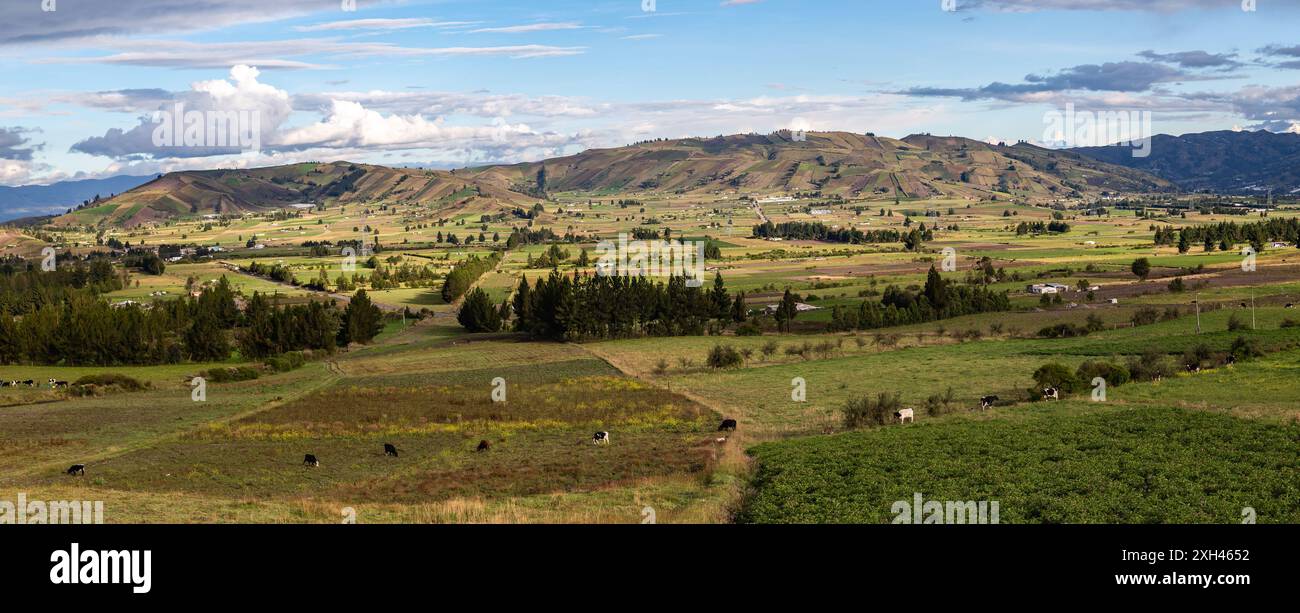 Andean crops on the slopes of the mountains of the Ecuadorian highlands Stock Photo