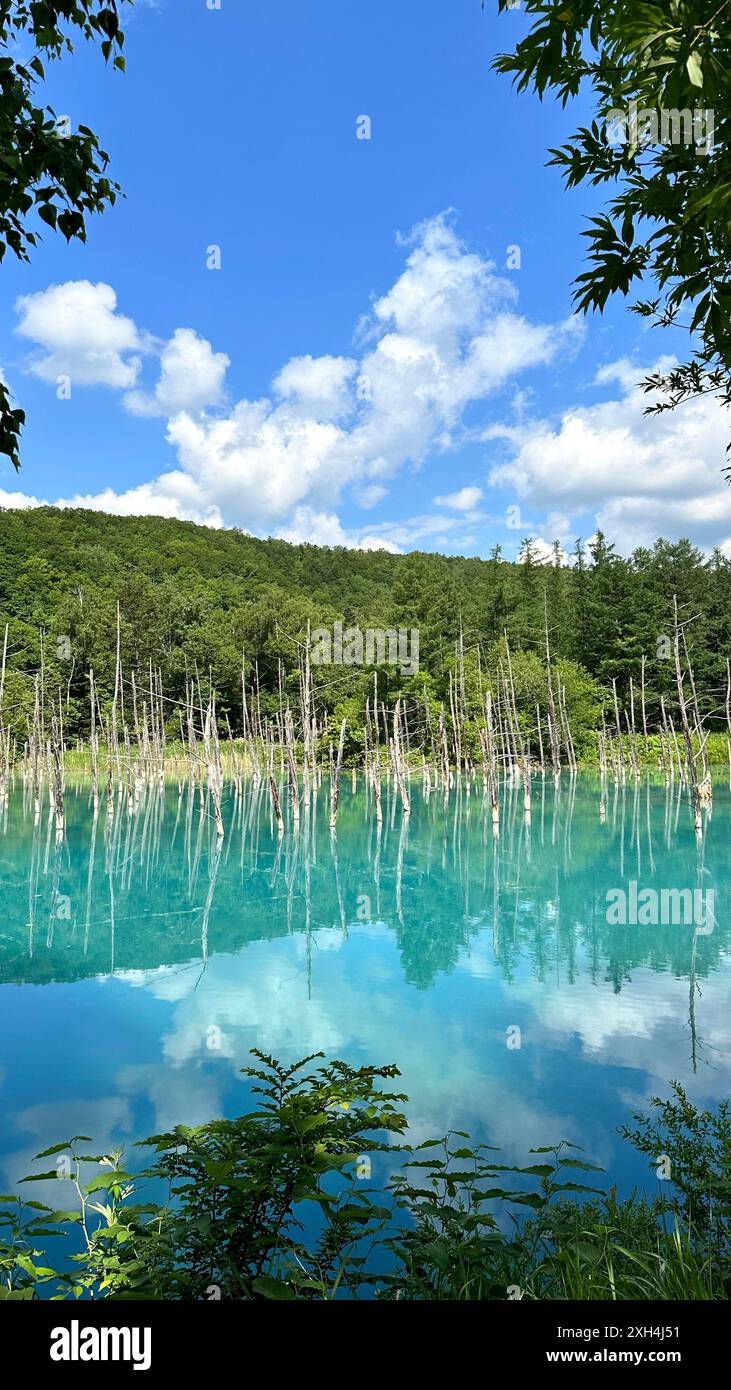 Beautiful scenery Blue Pond, aoi-ike in Japanese, in summer Shirogane ...