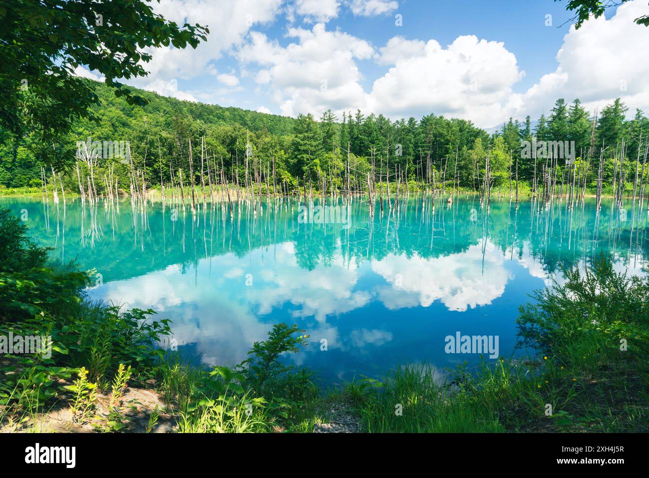 Beautiful scenery Blue Pond, aoi-ike in Japanese, in summer Shirogane ...