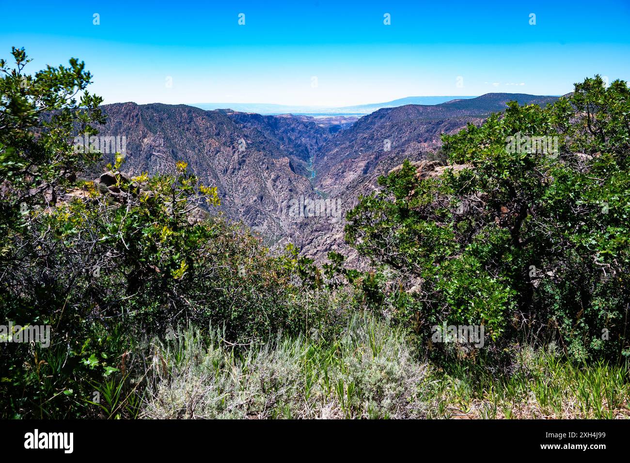 Black Canyon Stock Photo