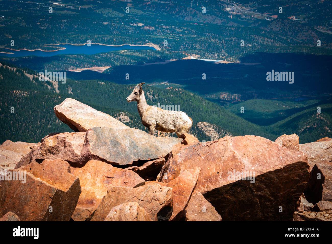 Pikes peak highest summit hi-res stock photography and images - Alamy