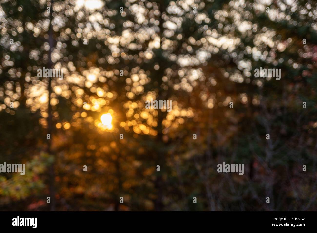 Serene backdrop highlights hi-res stock photography and images - Alamy