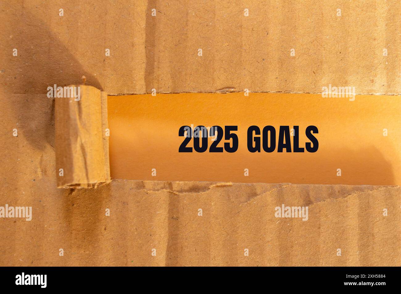 2025 goals message written on ripped torn cardboard paper with orange
